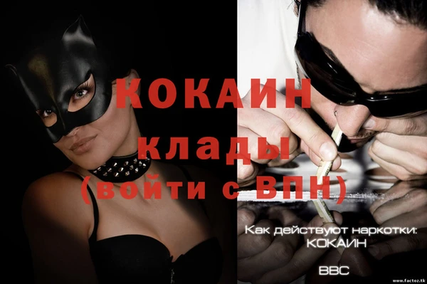 спиды Абаза