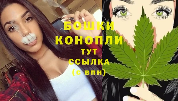 трава Алзамай