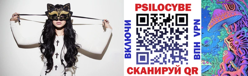Псилоцибиновые грибы MAGIC MUSHROOMS  гидра как войти  Чердынь 